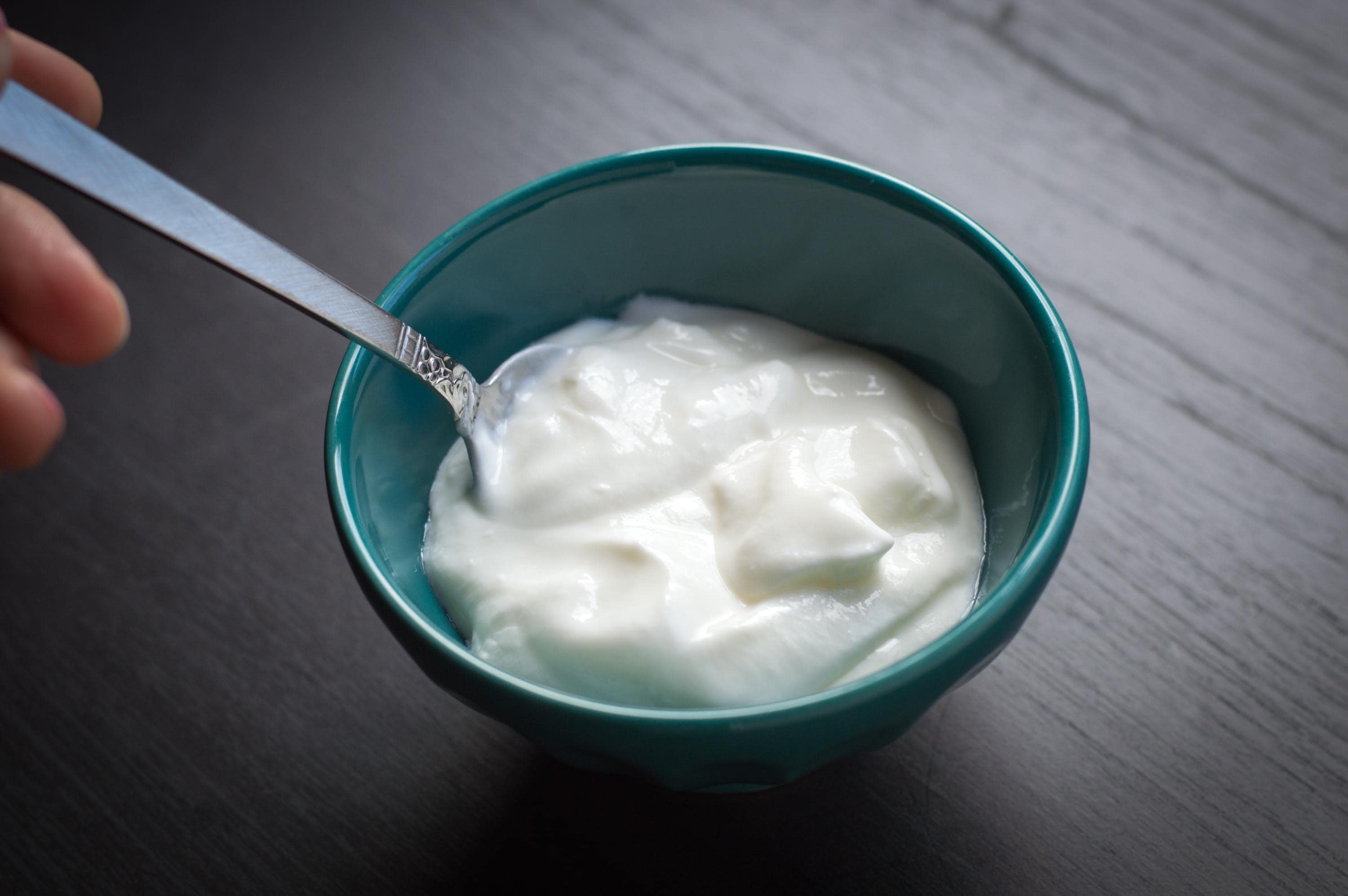 Plain yogurt discount