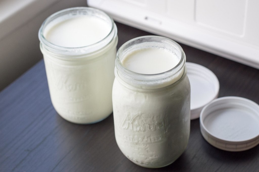 homemade yogurt in mason jars