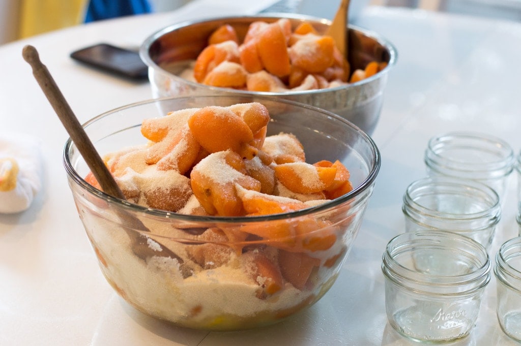 macerating apricots and pineapples how-to-make-homemade-jam-3