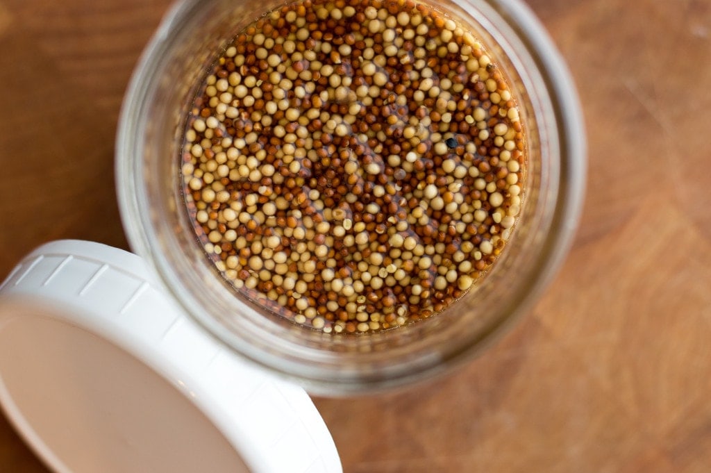 soaking mustard seeds