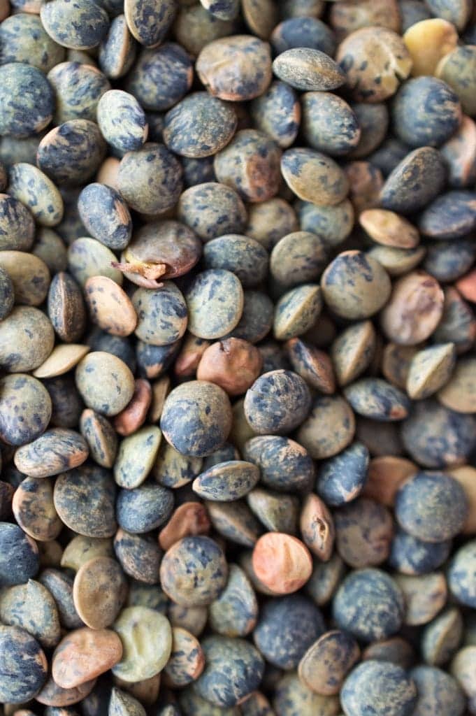 Le Puy green lentils are beautiful up close. 