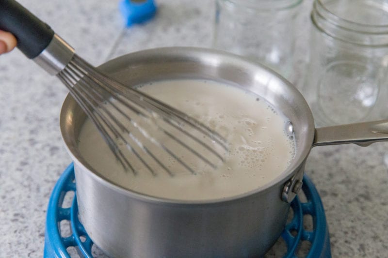 2Ingredient Vegan Yogurt [Instant Pot] and The Essential Vegan Instant