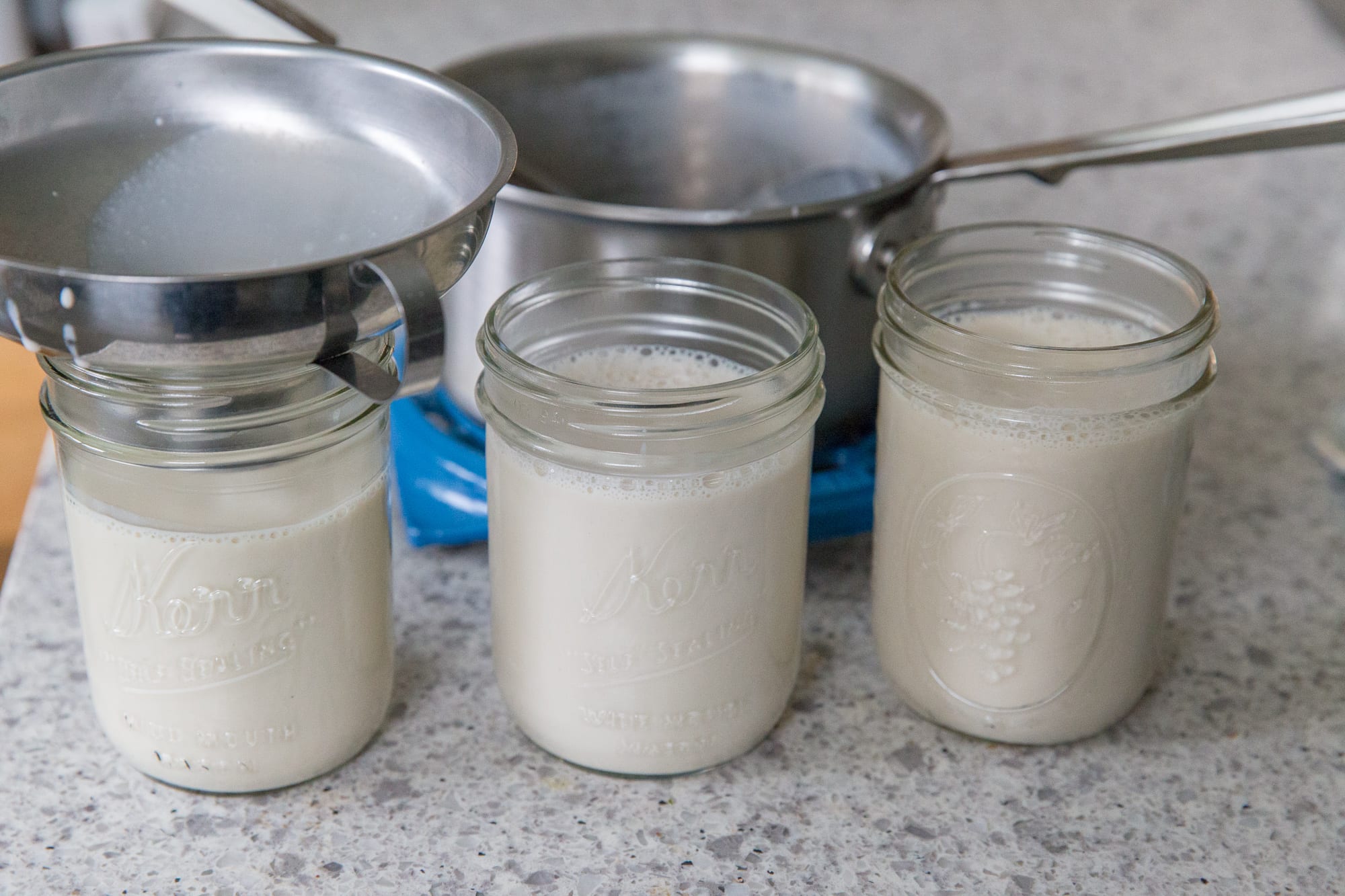 Raw Milk Yogurt Instant Pot Recipe an Easy Plain Whole Milk Yogurt •  Cultured Guru, Recipe