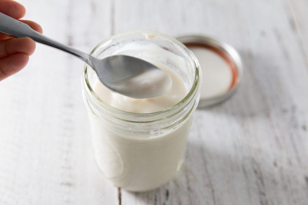 2Ingredient Vegan Yogurt [Instant Pot] and The Essential Vegan Instant